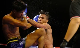 Dàn sao kickboxing Campuchia đến Việt Nam tranh đai vô địch 