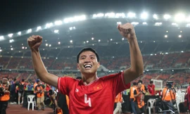 Vô địch ASEAN Cup 2024, đội tuyển Việt Nam nhận 'cơn mưa' tiền thưởng 