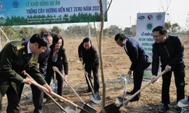 Theo Cục Lâm nghiệp, sau 3 năm thực hiện đề án trồng 1 tỷ cây xanh, cả nước đã trồng được hơn 770 triệu cây (Trong ảnh: Vinamilk trồng cây theo dự án hướng đến net zero năm 2023) 