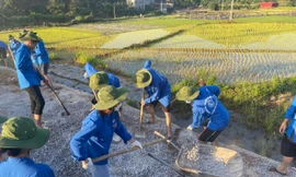 Các sinh viên tình nguyện trên mảnh đất Chi Lăng lịch sử Ảnh: Duy Chiến 