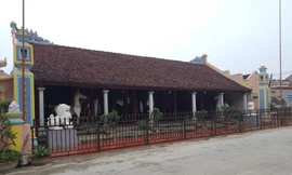 Ngựa bất kham thôi phó về Bồng Báo 