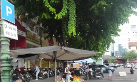 Chiếm dụng khu vực đỗ xe có thu phí trên đường Phan Chu Trinh, quận 1 Ảnh: H.H