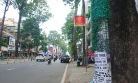 Việc quấn cỏ nhân tạo vẫn không thể ngăn chặn triệt để hành vi dán quảng cáo rao vặt ảnh: Hữu Huy 