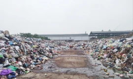 Rác thải tồn đọng ở điểm tập kết rác trong Khu công nghiệp Đại Đồng - Hoàn Sơn gây ô nhiễm Ảnh: Nguyễn Thắng