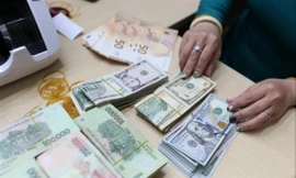 Tỷ giá tăng có lợi ngắn hạn cho doanh nghiệp xuất khẩu Ảnh: Như Ý 