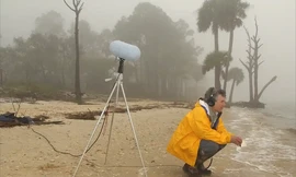 Bảo tồn những âm thanh đang biến mất 