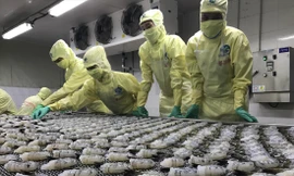 Thủy sản là 1 trong 7 mặt hàng xuất khẩu chính, nhưng trong tháng 7, kim ngạch đã giảm gần 6% so với tháng trước. Ảnh: Nam Khánh