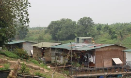 Xóm phao gồm vài chục hộ dân sinh sống trên thuyền ở vùng nước tĩnh trong phạm vi bãi giữa sông Hồng