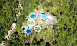 Rừng bị đào bới nuôi cá nước lạnh