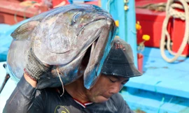 Rộn ràng 'lộc biển' đầu năm 