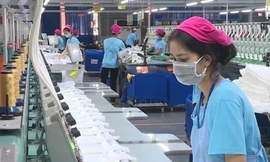 Các doanh nghiệp tại khu chế xuất Linh Trung (TP Thủ Đức) khôi phục sản xuất kinh doanh sau khi TPHCM mở cửa kinh tế từ 1/10. Ảnh: Huy Thịnh