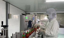 Công ty Chilica đang chuẩn bị những khâu cuối cùng để đưa hàng sang trời Âu vào ngày 11/3 tới ảnh: U.P 