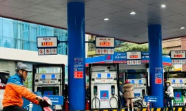 Doanh nghiệp xăng dầu cho biết, mức chiết khấu hiện tại đang khiến các doanh nghiệp bị lỗ lớn Ảnh: Như Ý