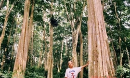 Cụ Vi Chính Nghĩa - cố Bí thư Huyện ủy Tương Dương, người tiên phong trong công cuộc bảo vệ, giữ gìn cánh rừng săng lẻ