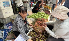Măng cụt, vải, chôm chôm đầu mùa đã rớt giá bán tại chợ dân sinh ảnh: U.P