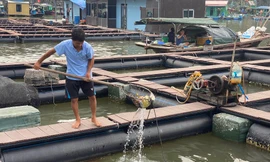 Ông Trần Văn Nhân vớt rác trong ô lồng nuôi cá mới đóng bằng nhựa HDPE Ảnh: Nguyễn Hoàn 