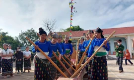 Phụ nữ dân tộc Thái tham gia khua luống 