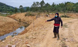 Hồ Thanh Niên bị đổ đất, lấn chiếm gần 4.000m2 