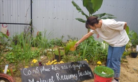 Một góc vườn xanh tươi, cây được bón phân ủ từ rác của các hộ gia đình Ảnh: T.T