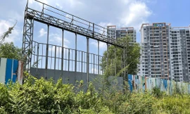 Cỏ mọc um tùm bên trong dự án Hausbelo Ảnh: DUY QUANG 