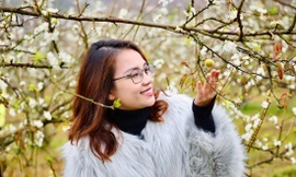 Mộc Châu quá tải du khách nhờ mùa hoa mận nở đẹp hiếm thấy Ảnh: TRỌNG TÀI 