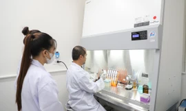 Cần có phòng thí nghiệm hiện đại để giảng viên, sinh viên học tập, nghiên cứu Ảnh: HOA BAN