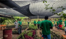 Một vườn ươm thuộc chương trình EcoSólidos ở nhà tù La Joyita