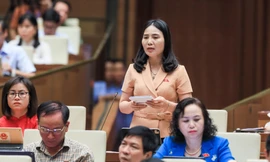 ĐBQH chất vấn các thành viên Chính phủ ảnh: như ý