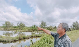 Khu đất dự án nhà máy Ðiện rác Plasma Cà Mau sau 6 năm vẫn là vuông tôm ẢNH: TÂN LỘC 