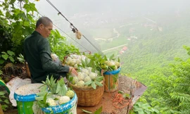 Vào thủ phủ na xứ Lạng 