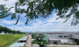 Một nhà máy trong KCN Hòa Cầm Ảnh: Thanh Hiền