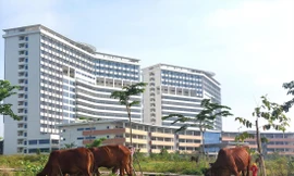 Công trình bệnh viện 1.500 giường chậm tiến độ ảnh: HƯƠNG CHI 