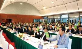 Đại hội 9 VFF sẽ khó có những màn so tài gay cấn như các nhiệm kỳ trước ảnh: Anh Đoàn 