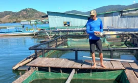 Đa dạng các loại cá được nuôi tại làng chài Sê San