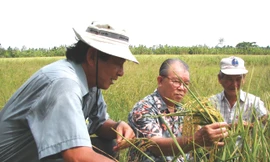 Trăn trở và phụng sự nhân dân 