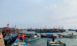 Giá dầu tăng cao, ngư dân nằm bờ 