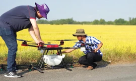 Phun thuốc bằng máy bay không người lái tại ĐBSCL