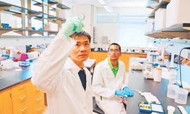 GS Hùng và cộng sự tại phòng thí nghiệm mang tên anh ở Mỹ 