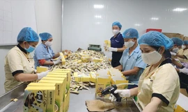 Cà phê chuẩn bị xuất khẩu đầu năm ảnh: U.P 