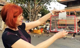 Dù được phóng sinh chim vẫn hoang mang, không đủ sức bay ra khỏi lồng Ảnh: Nguyên Anh