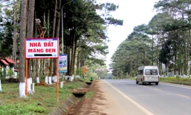 Giá đất ở Măng Đen tăng đột biến 
