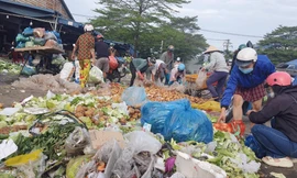 Những người nhặt khoai tây trong đống rác ở chợ ĐMNS Thủ Đức vào sáng 27/7 Ảnh: Thuận Nhàn