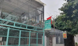 Vườn lan Hà Thanh (Ứng Hòa, Hà Nội) khóa trái cửa mấy ngày nay