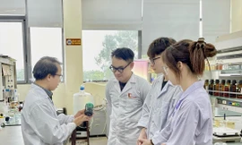 PGS.TS Nguyễn Trọng Nghĩa (Trường Hóa và Khoa học Sự sống, Đại học Bách khoa Hà Nội) hướng dẫn nhóm sinh viên thực hiện dự án 