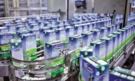 SCIC chốt nhà thầu tư vấn bán 9% cổ phần Vinamilk