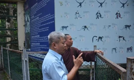 Đại diện Thảo Cầm Viên đưa sư thầy ra vườn thú thăm chim khổng tước, đồng thời hướng dẫn về địa phương làm bản tường trình, có xác nhận của địa phương về nguồn gốc chim quý.