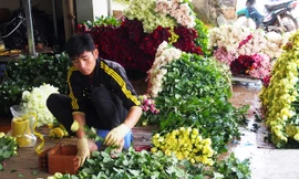 Hối hả đóng gói hoa hồng cho dịp lễ.