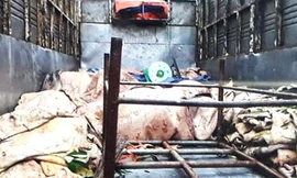 3,4 tấn mỡ động vật và da trâu bò.