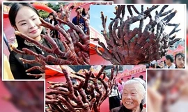 Nhiều người thích thú cầm cây linh chi chụp ảnh trong hội chợ ở thành phố Thượng Nhiêu. Ảnh: NDTV.