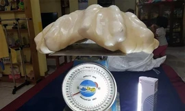 Những viên đá quý giá trị nhất thế giới